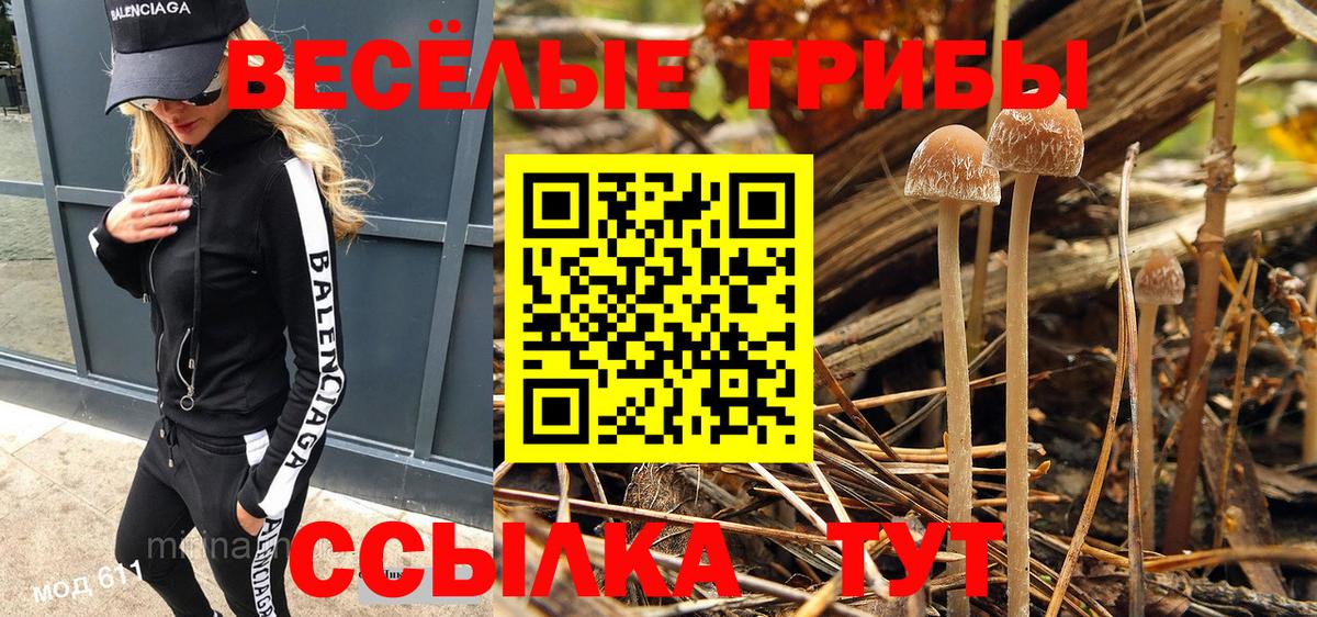 Галлюциногенные грибы MAGIC MUSHROOMS  Вход с VPN  Кемерово 